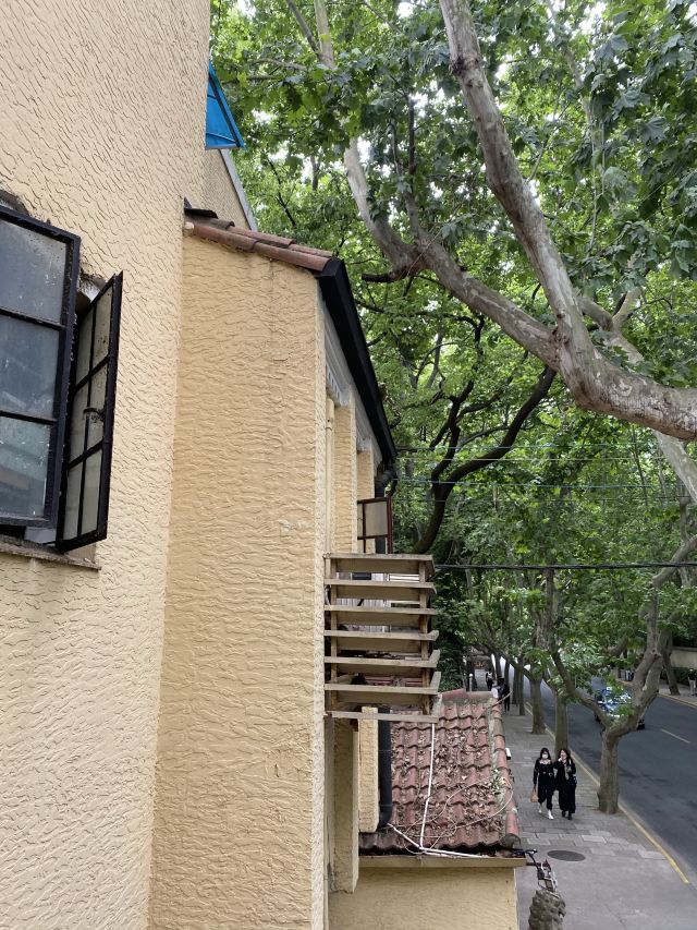 上海东湖路攻略,上海东湖路门票/游玩攻略/地址/图片/门票价格【携程