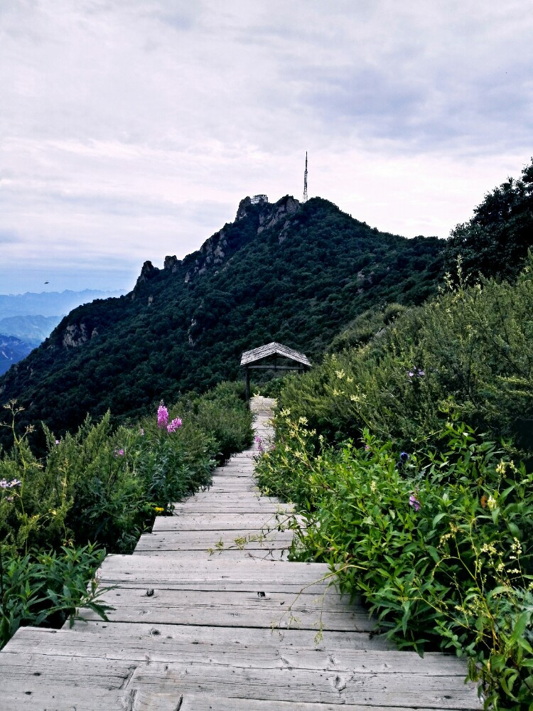 百花山自然保護區