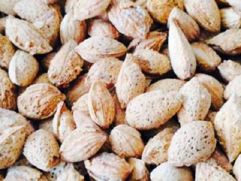 陵川如意瓜子攻略,如意瓜子特色菜推荐/菜单/人均消费/电话/地址/菜系