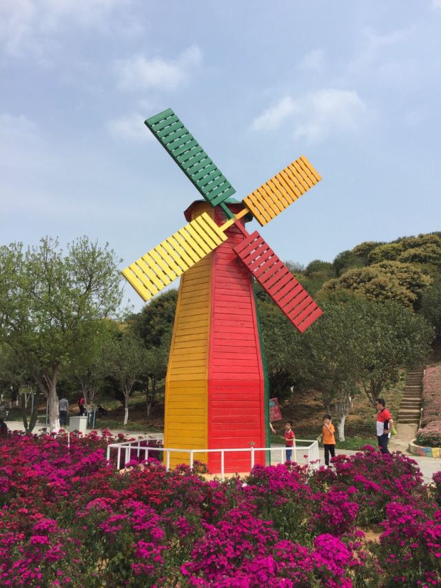 松湖蝶恋生态园