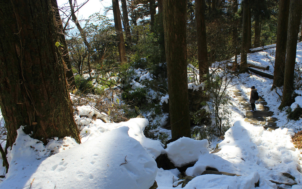 【杭州·冬】冰雪天目山