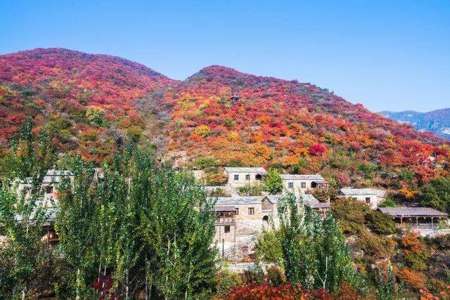 坡峰岭在哪里图片 10090n000000emr9184AB_R_1024_10000_Q90.jpg