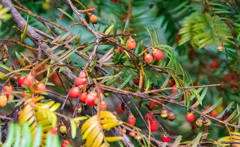 10090y000000mgk848922_R_800_10000_Q90.jpg?proc=autoorient