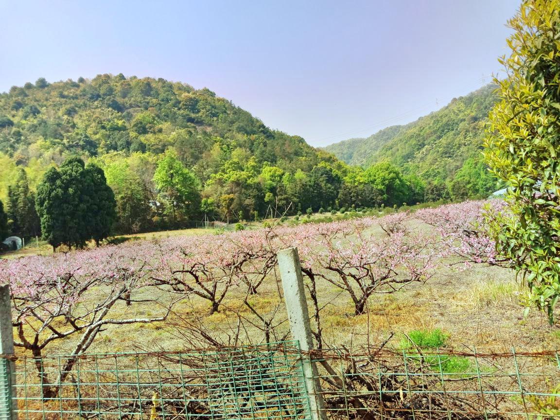 盘山古道