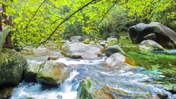 婺源.大鄣山卧龙谷