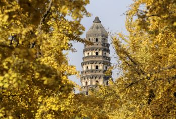 【纯玩小团上门接】拙政园+狮子林+虎丘+寒山寺+山塘一日游【纯玩无购物，360度苏州园林全景游，访唐诗中的寒山寺，在虎丘听春秋旧事！】