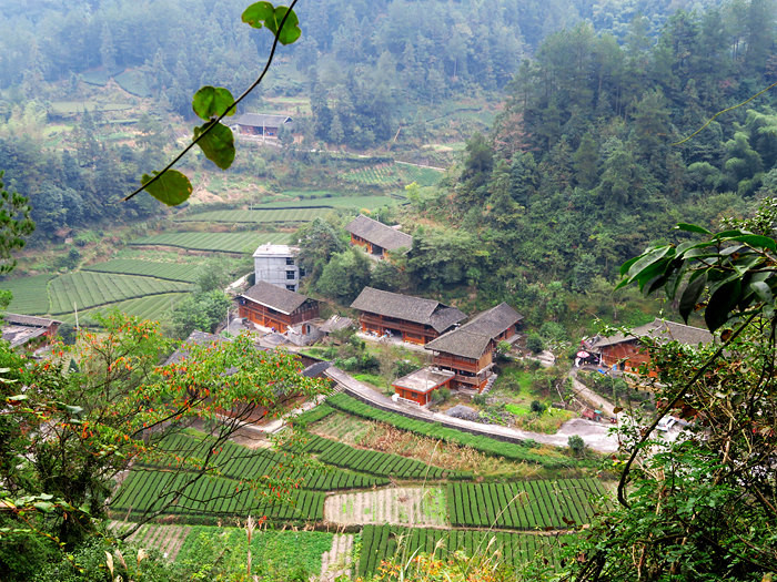 麻柳溪村