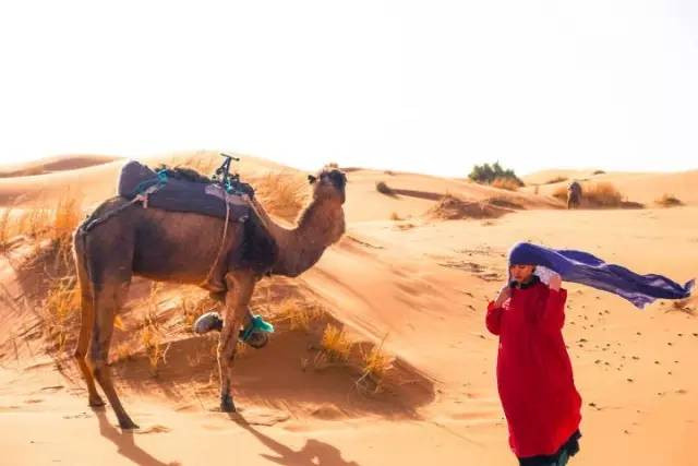 探访色彩的国度--摩洛哥(附女生摄影TIPS) - 摩
