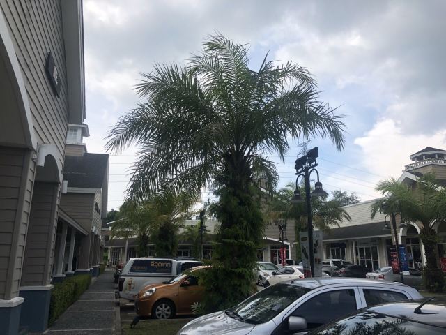 【携程攻略】甲米奥特莱斯怎么样\/如何去,甲米