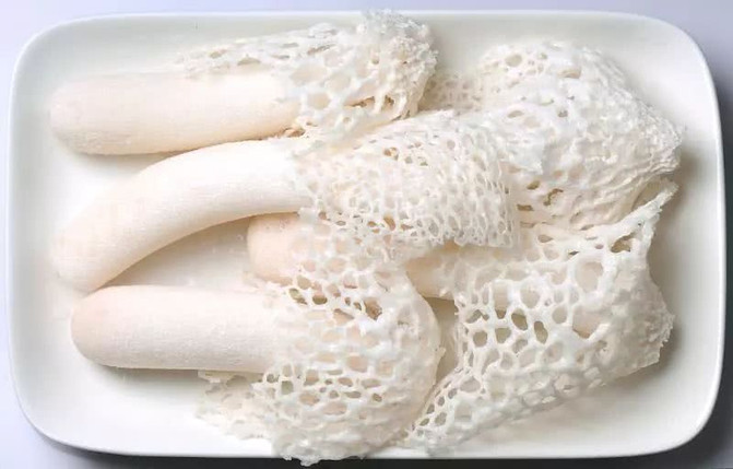 鲜竹笙,竹笙,竹笙菌_文秘苑图库