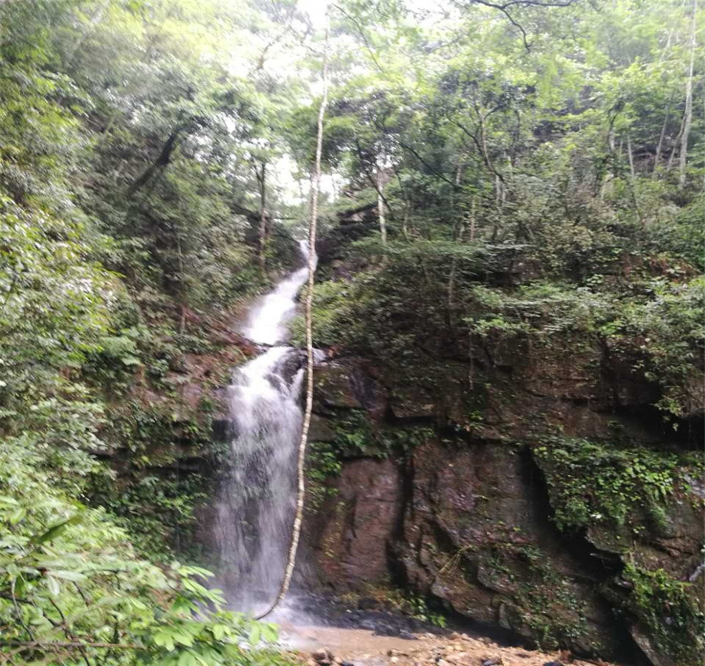 飞来瀑