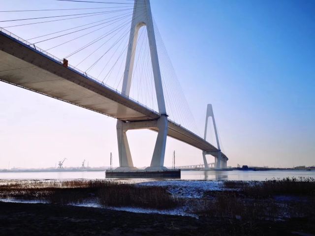 辽中辽河大桥图片