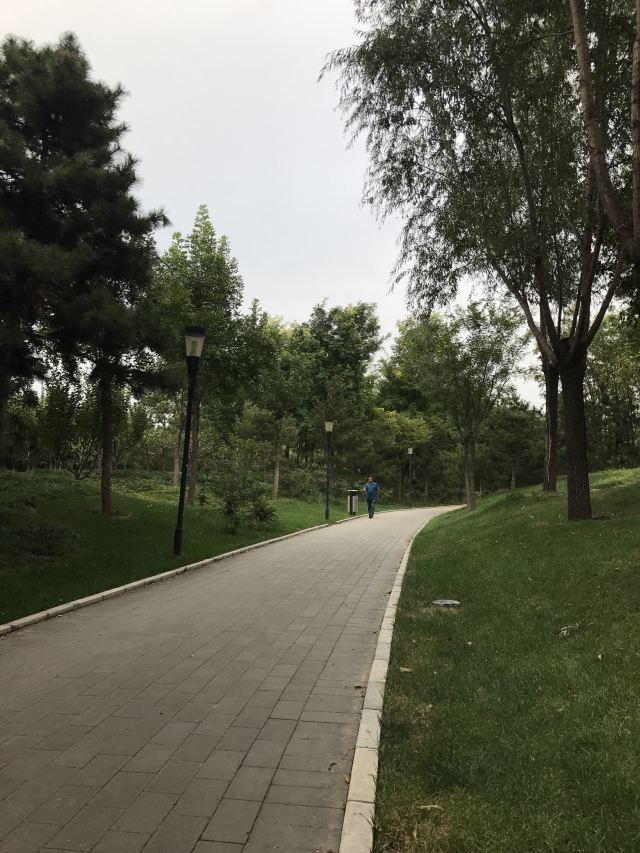 北京百旺公园图片