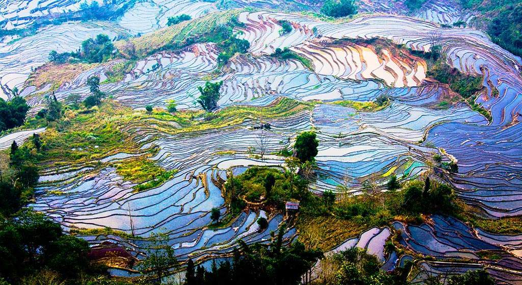 元阳梯田景区
