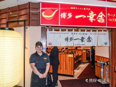 上海日本福冈博多一幸舍 美罗城店 攻略 日本福冈博多一幸舍 美罗城店 特色菜推荐 菜单 人均消费 电话 地址 菜系 点评 营业时间 携程美食林