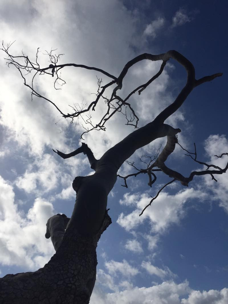 七月的冬天--大堡礁-悉尼 - 布里斯班游记攻略