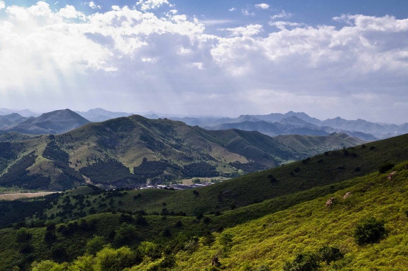 九龙山