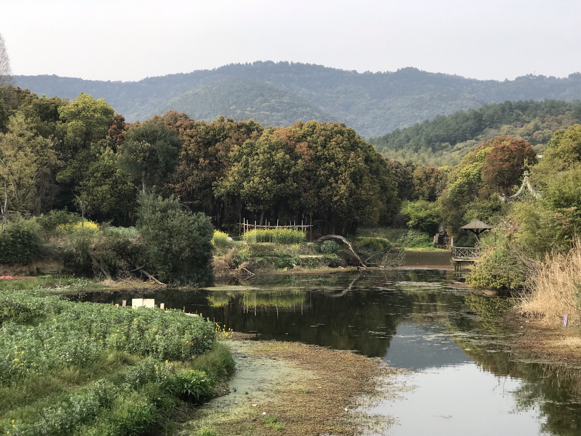 新养女湖