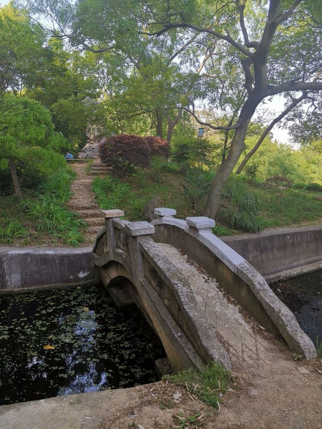 巢湖卧牛山公园攻略,巢湖卧牛山公园门票/游玩攻略/地址/图片/门票