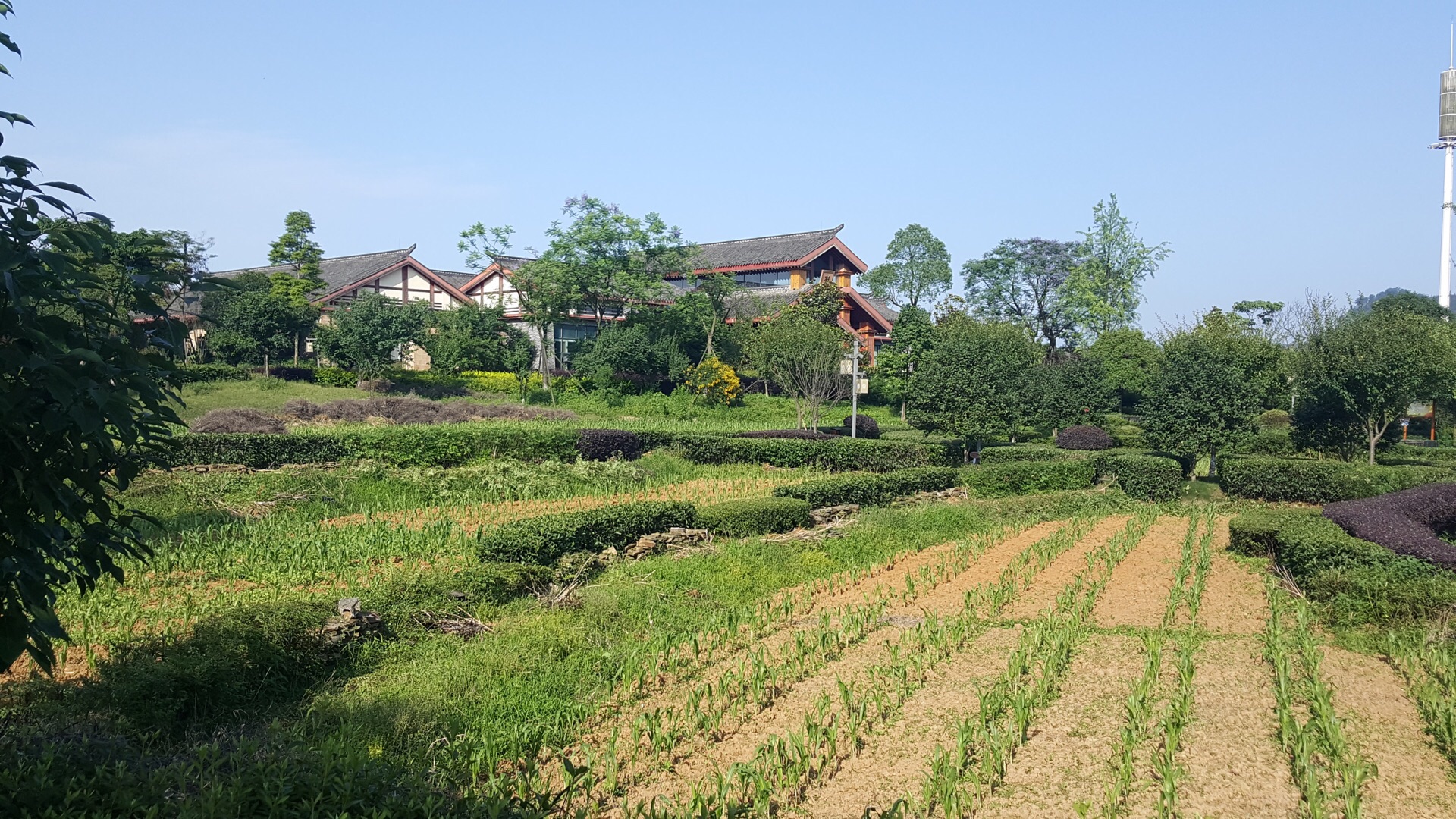 花田酒地