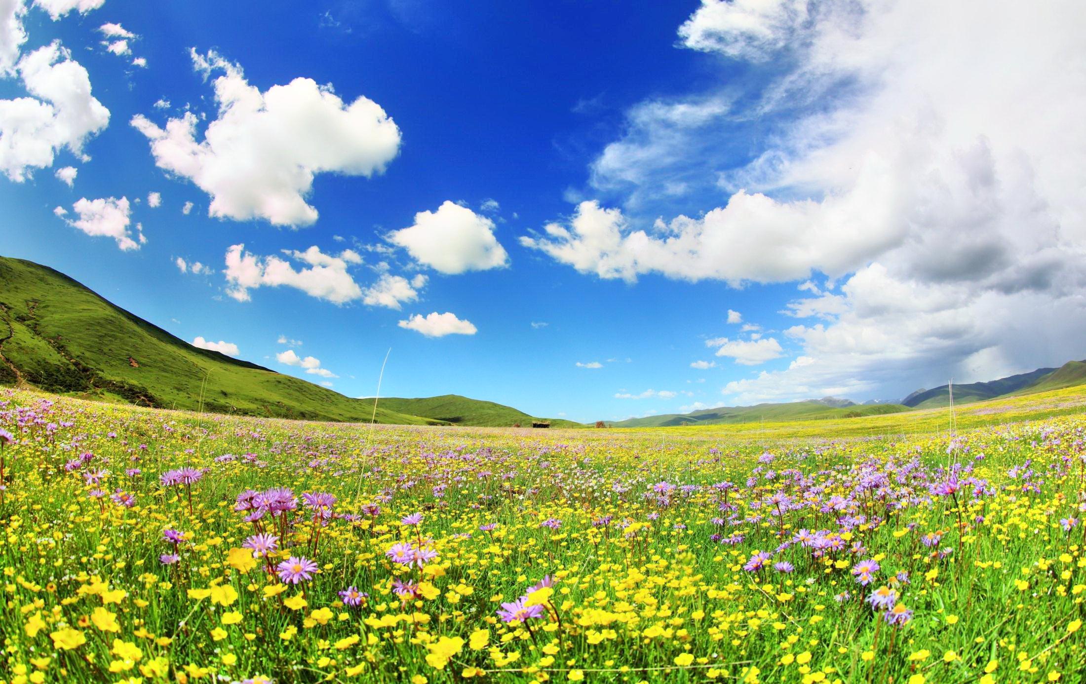 俄么塘花海景区