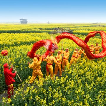 兴化千垛景区+李中水上森林公园一日游【【赠送午餐12菜1汤】