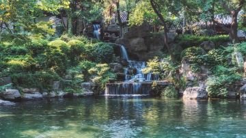 济南 趵突泉风景区7