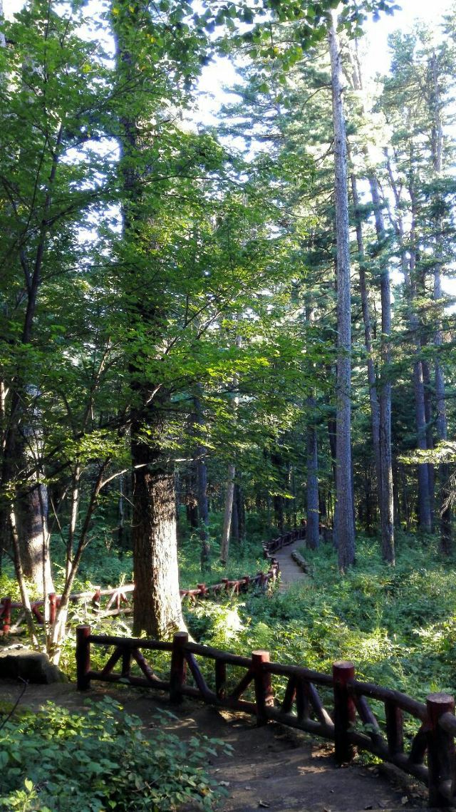 红松林森林公园