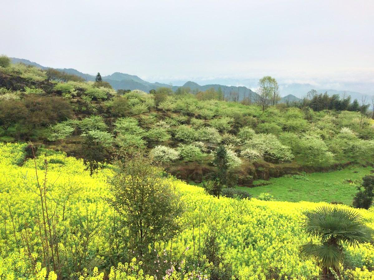 大邑雾山