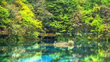 九寨_日则沟_金玲海01