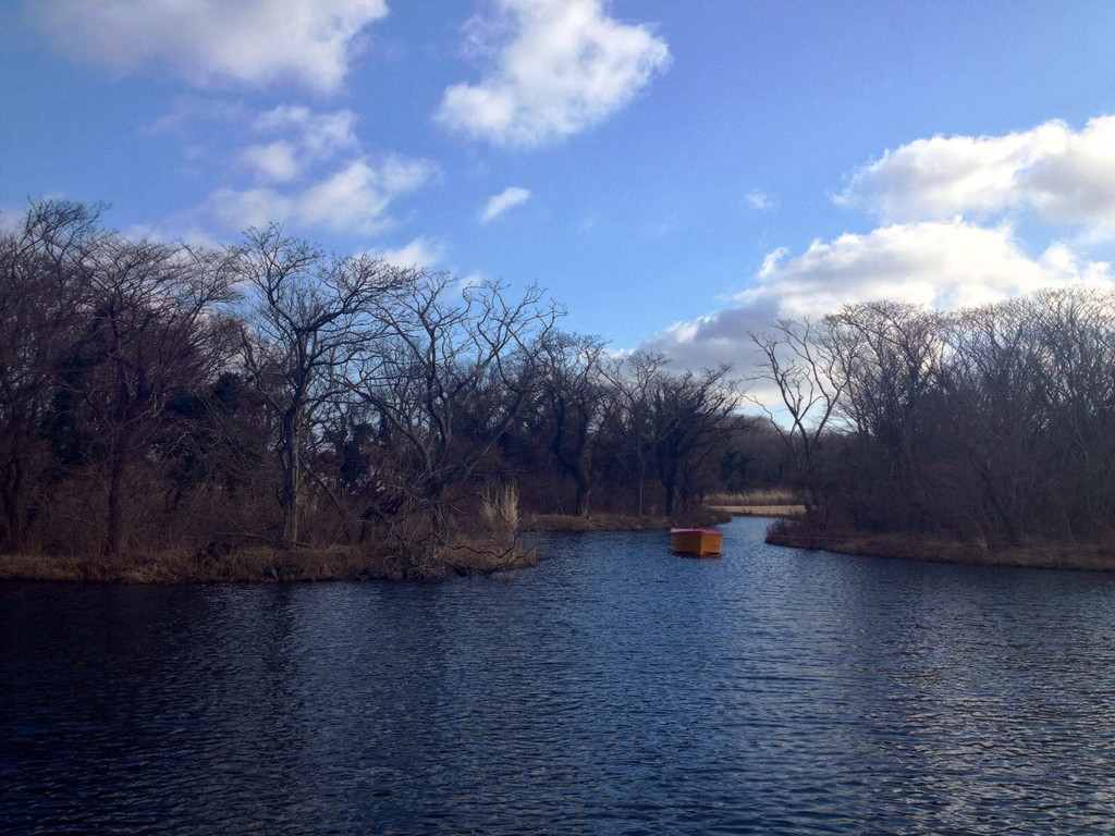 从olle起,冬恋梦幻jeju