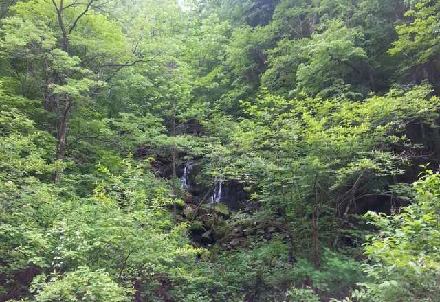 本溪縣大地森林公園攻略,本溪縣大地森林公園門票/遊玩攻略/地址/圖片