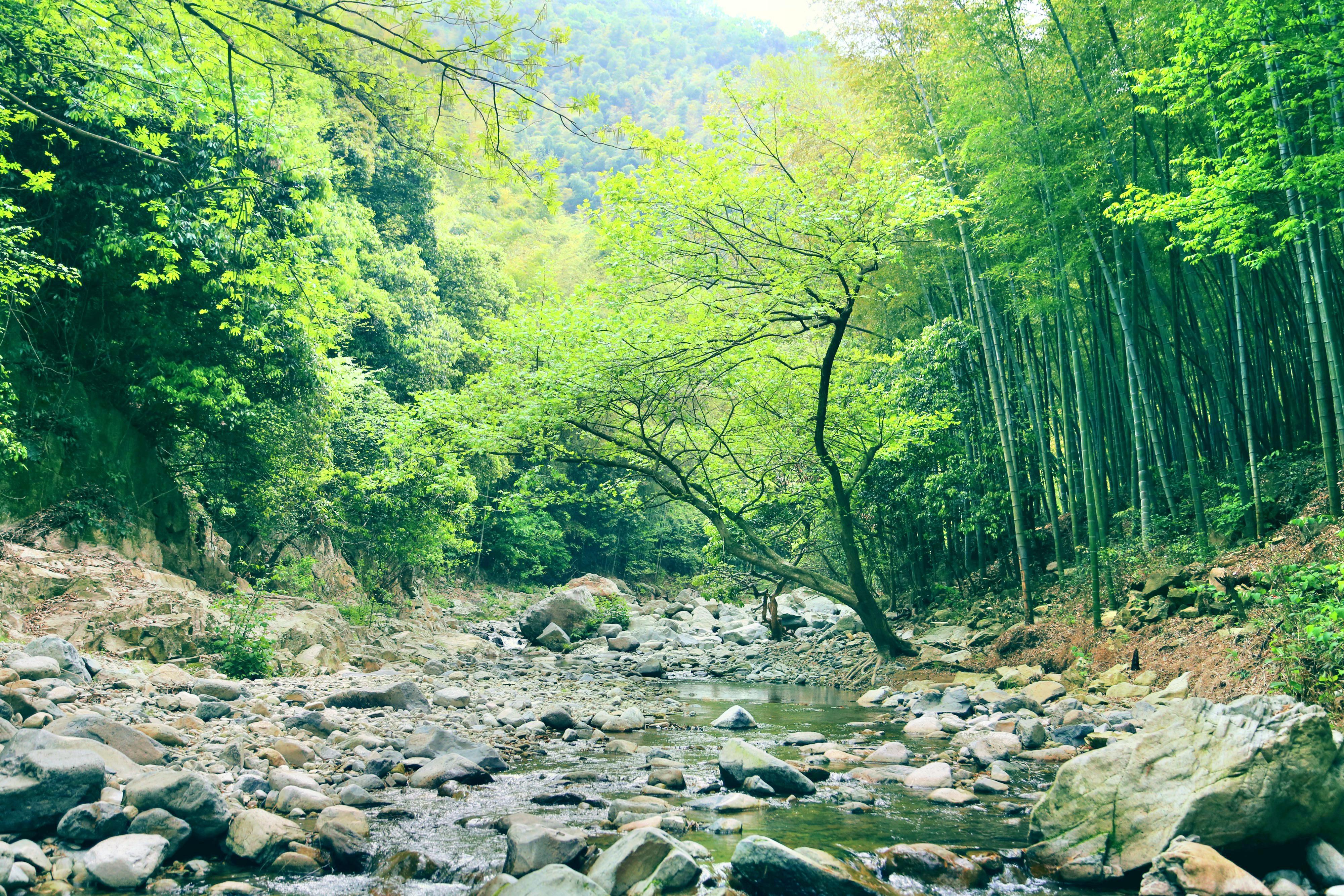 浙东小九寨