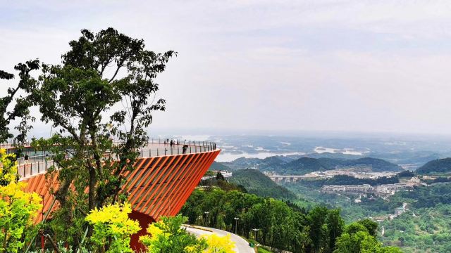 成都龍泉森林公園攻略,成都龍泉森林公園門票/遊玩攻略/地址/圖片