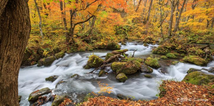 21青森县旅游攻略 7月青森县 Aomori 自助游 自驾 出游 自由行 游玩攻略 携程攻略