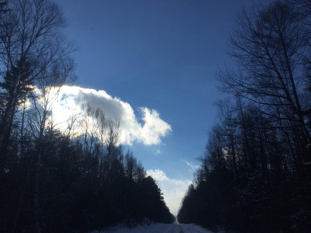 冰天雪地任我闯.漫雪纷飞背包行