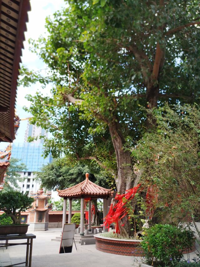 厦门龙湫亭攻略,厦门龙湫亭门票/游玩攻略/地址/图片