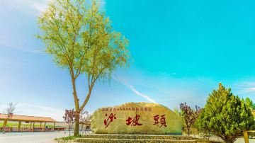 中卫 沙坡头 (2)