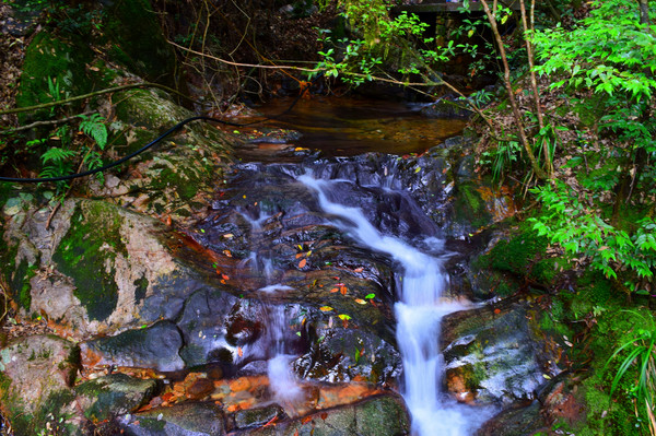 行程單 第一天:紹興北站,一口田(杭州東站店),千島湖森林氧吧,千島湖