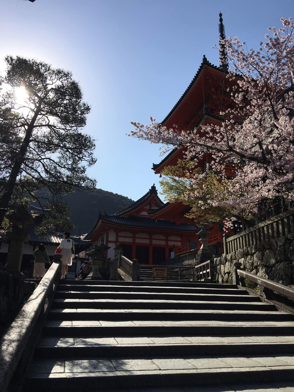 京都清水寺