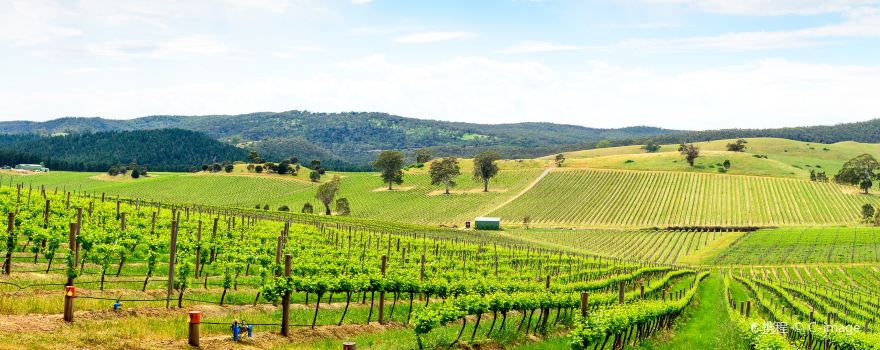 2020芭萝莎谷旅游攻略,9月芭萝莎谷(barossa valley)自助游/周边自驾