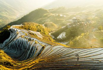桂林龙脊梯田风景名胜区-金坑梯田一日游【商务小团】【车每日消毒，让您舒心出游体验梯田美景！安全安心出行！】