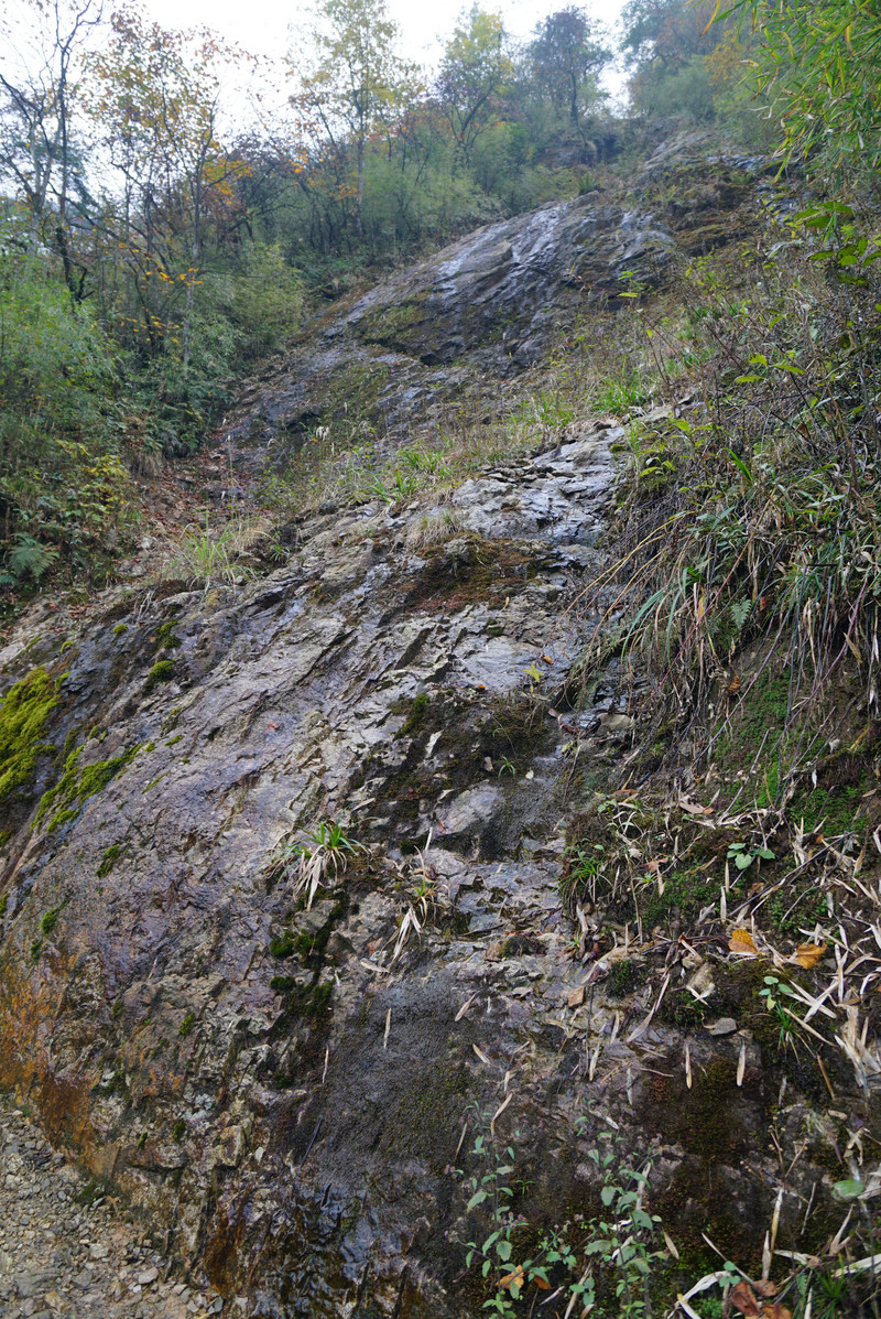 100g1900000178dt1BE7A_R_800_10000_Q90.jpg?proc=autoorient