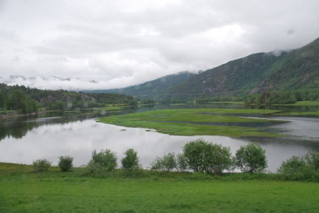 雨中行路,欣赏挪威的森林与峡湾.