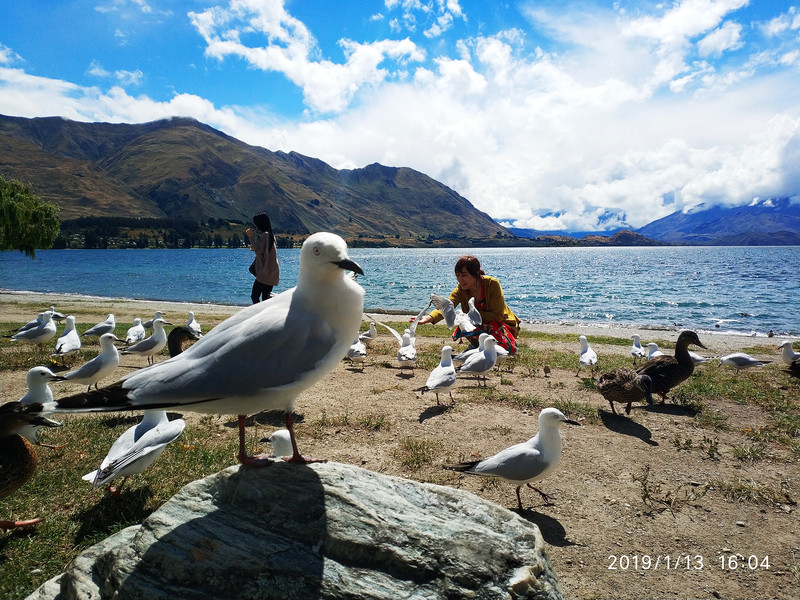 100h11000000qaa8hDBA8_R_800_10000_Q90.jpg?proc=autoorient