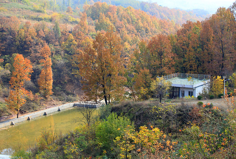 春山溪谷秋色浓 - 洛阳游记攻略【携程攻略】