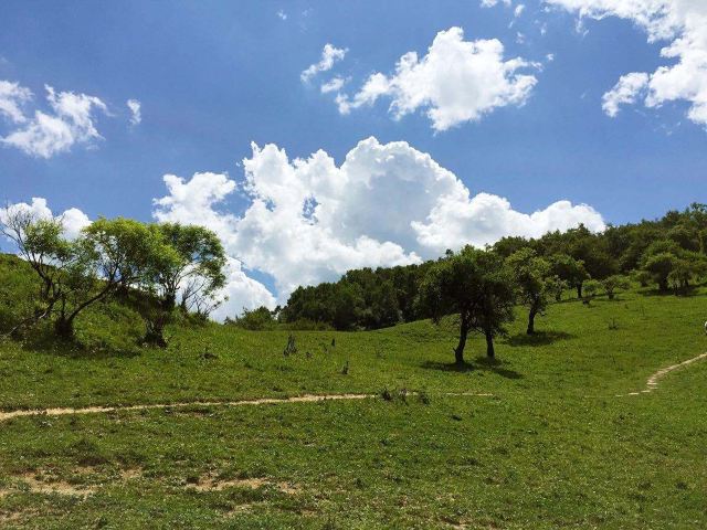 隴縣關山草原攻略,隴縣關山草原門票/遊玩攻略/地址/圖片/門票價格