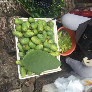 花草手猜成语_看图猜成语(3)