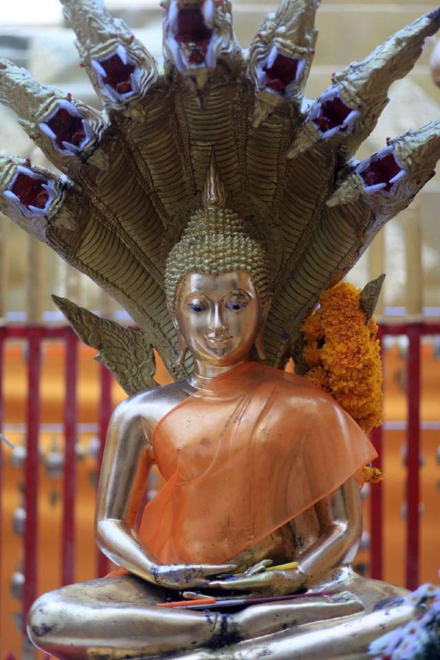 这种佛祖造型没怎么见过,没文化也不知道由来.