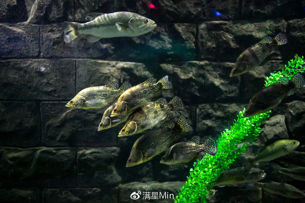 宿迁这座城:有光,有爱,也有你